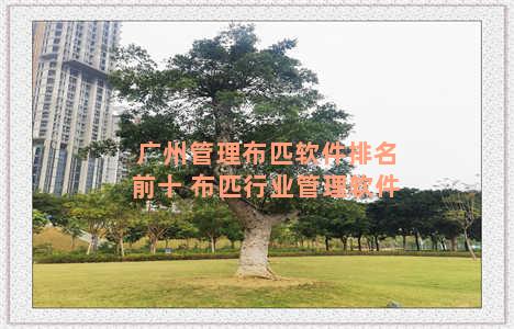 广州管理布匹软件排名前十 布匹行业管理软件
